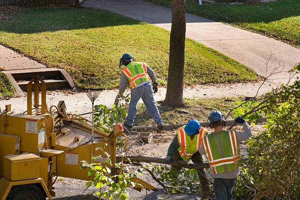 Best Pest Control for Lawns  in Pasadena, CA